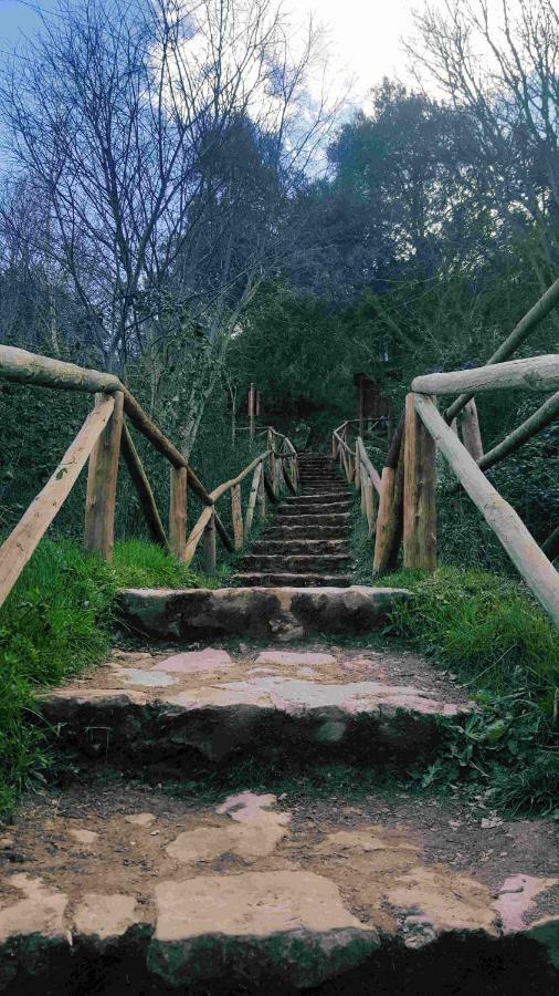Casa Rural La Ossa Ossa de Montiel Ngoại thất bức ảnh